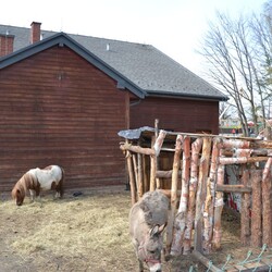 Przedpremierowe otwarcie Twinpigs